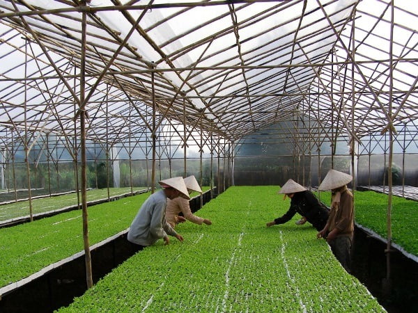 Bắc Giang chủ trương thu hút đầu tư trong lĩnh vực nông nghiệp và ứng dụng công nghệ cao