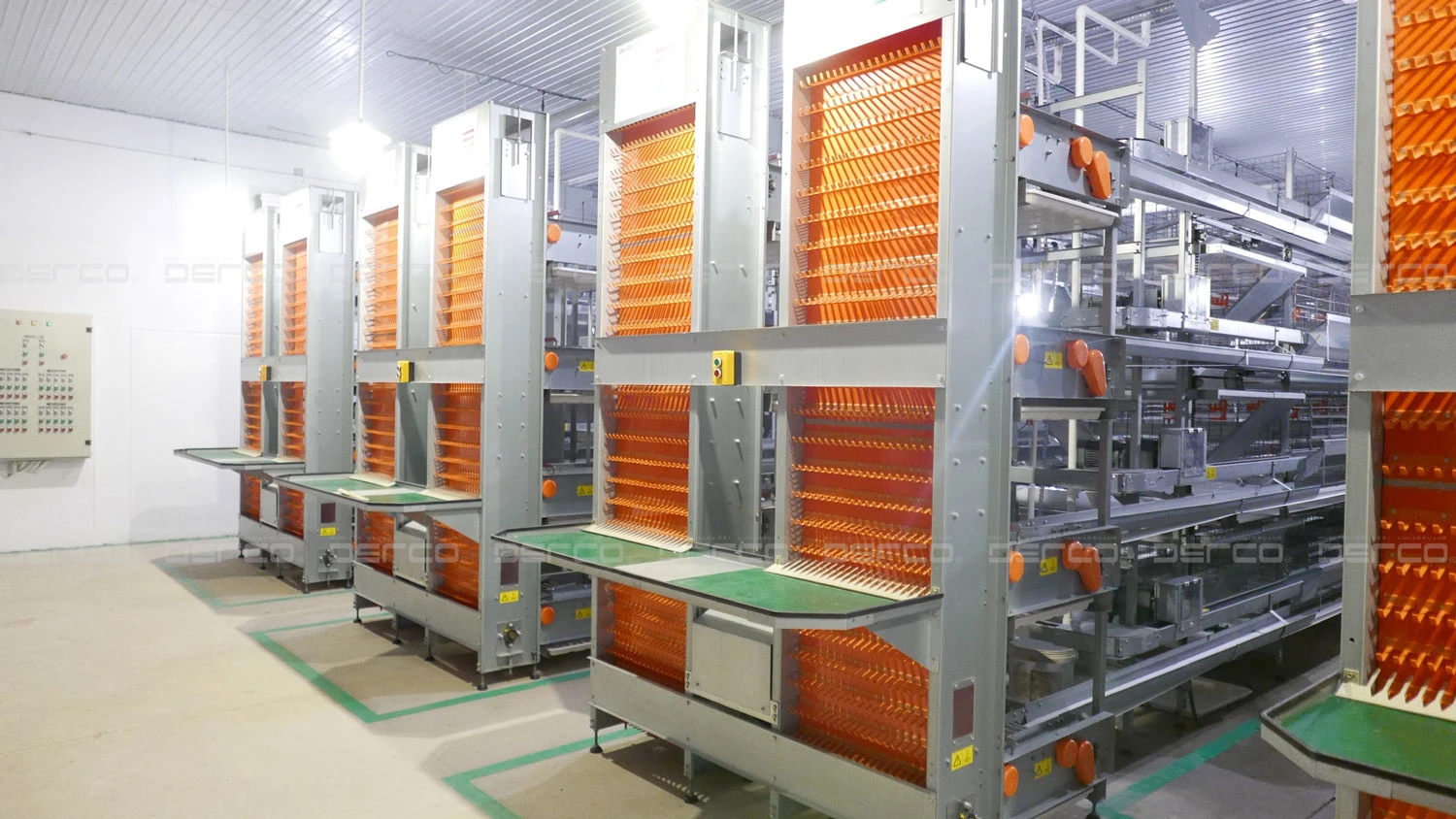 Dây chuyền sản xuất trứng gà tích hợp hệ thống Smart tại Trang trại công nghệ cao DELCO Farm