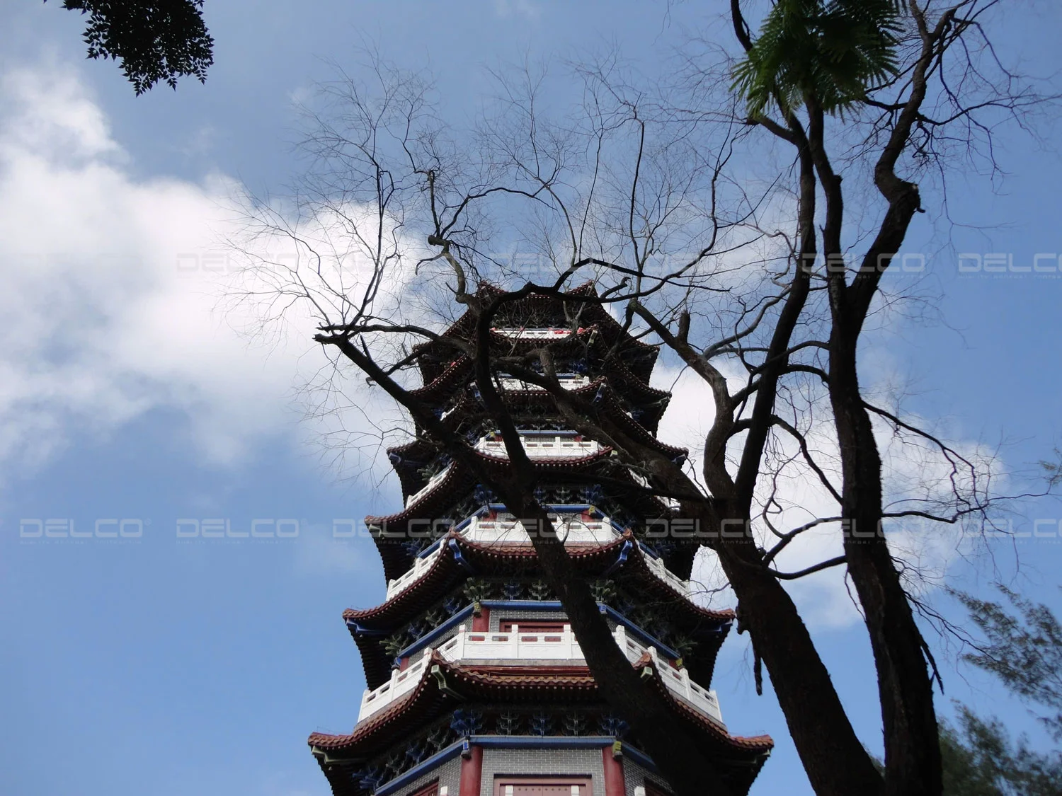 Hành trình gắn kết 2025: cùng DELCO team khám phá Đông Hưng – Trà Cổ